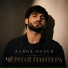 Давид Исаев