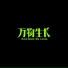 宋冬野