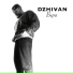 (41-46hz) DZHIVAN