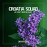 Tom Reason Feat Croatia Squad