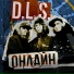 D.L.S. feat Slim [http: musvkontakte.ru]
