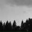 Вечно в кедах