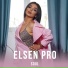 Elsen Pro