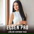 Elsen Pro