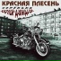 рабочий народ