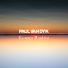 Paul van Dyk, Arty