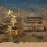 周深