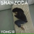 Shahzoda