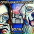 Операция пластилин