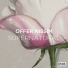 MR.BLACK & Offer Nissim